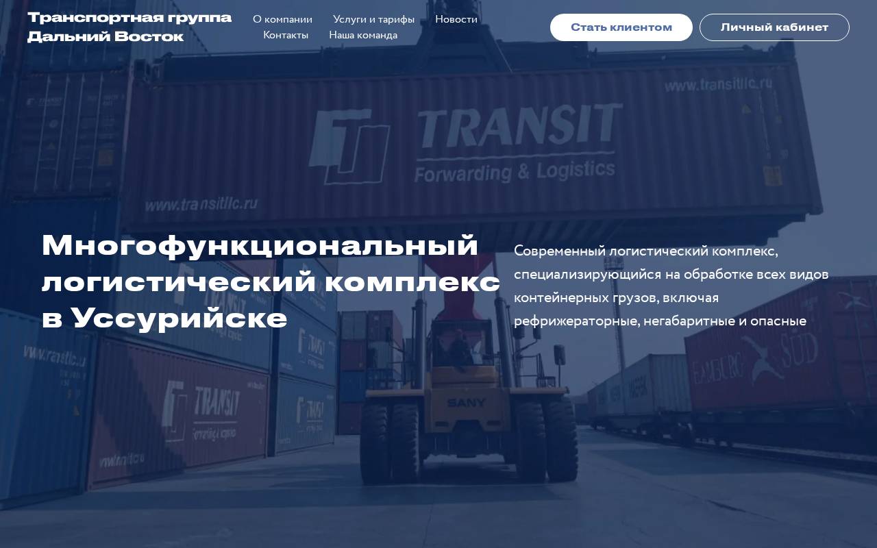 Снимок главной страницы tgdv.ru