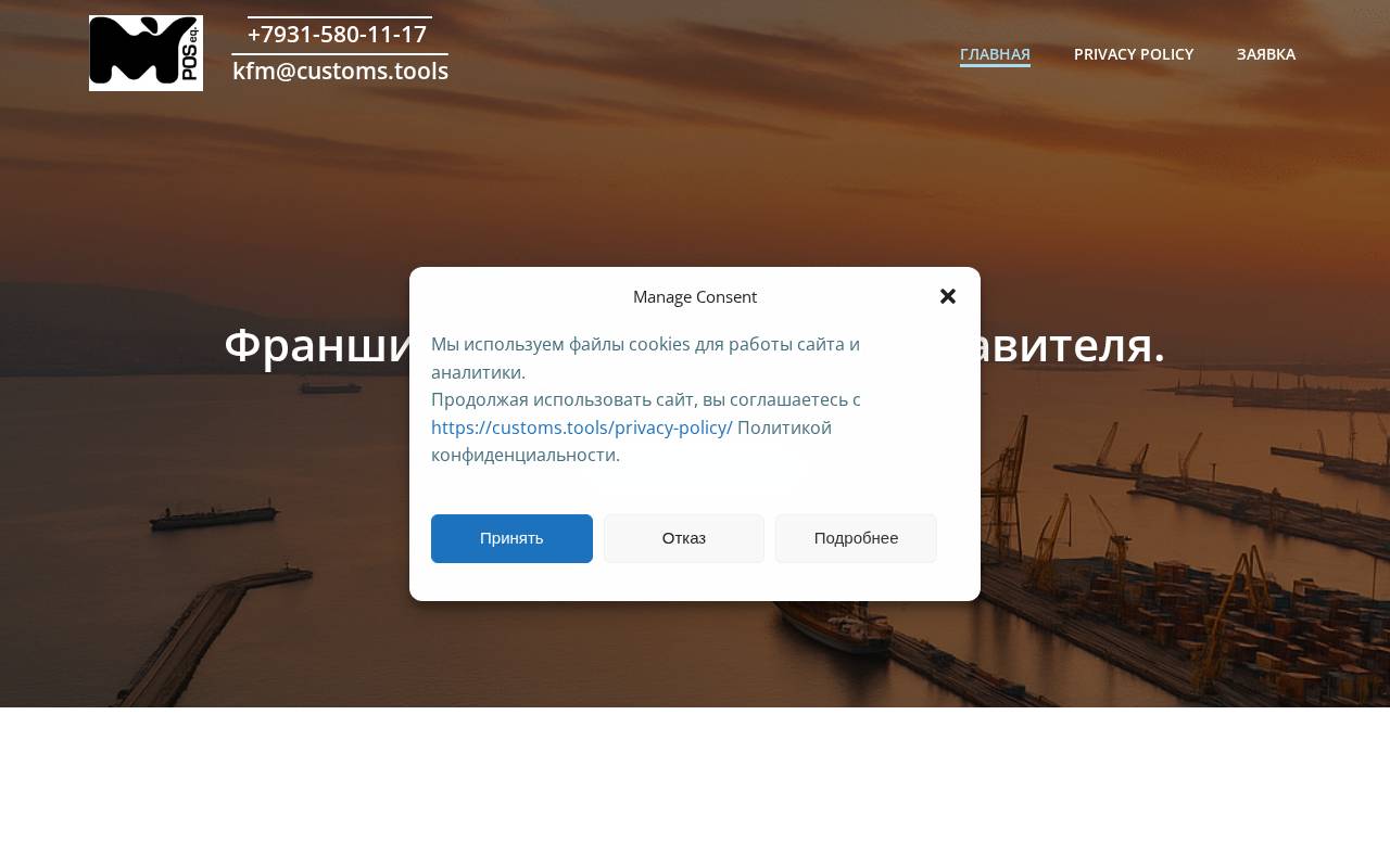 Снимок главной страницы customs.tools
