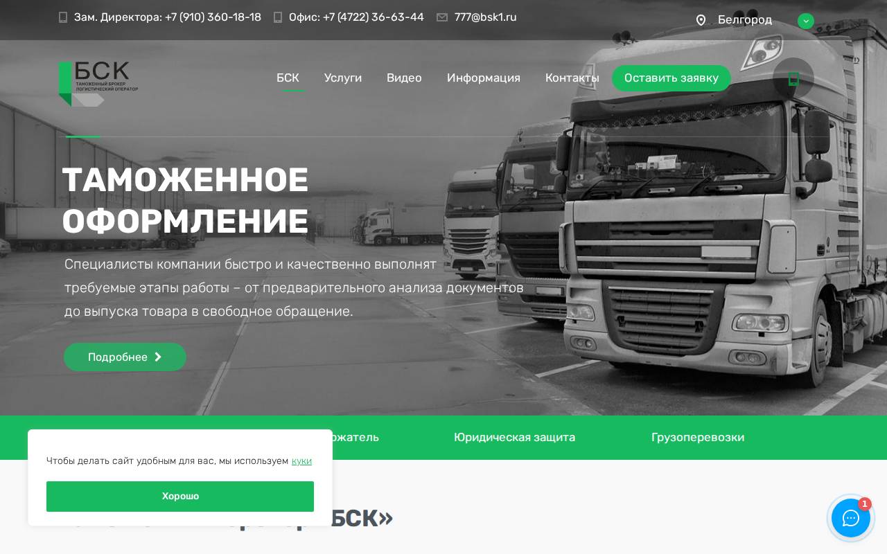 Снимок главной страницы bsk1.ru