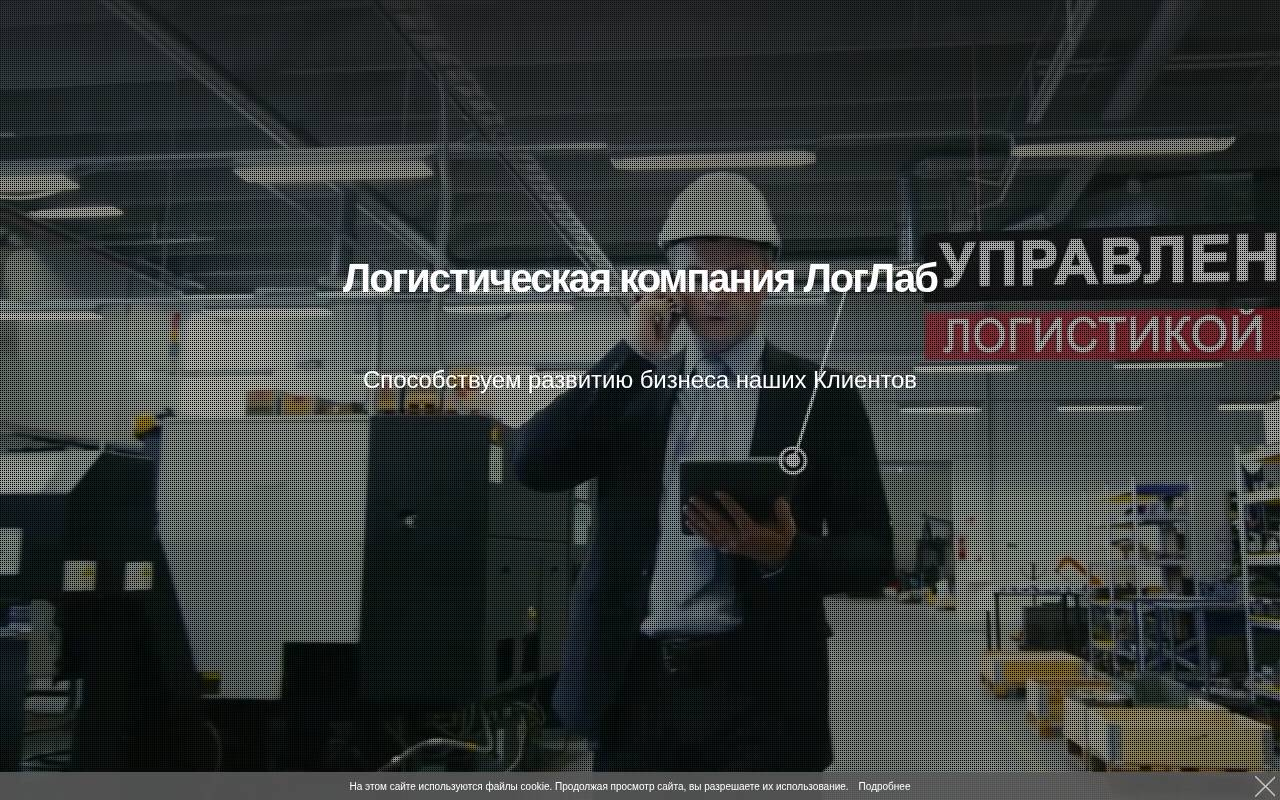 Снимок главной страницы loglab.ru