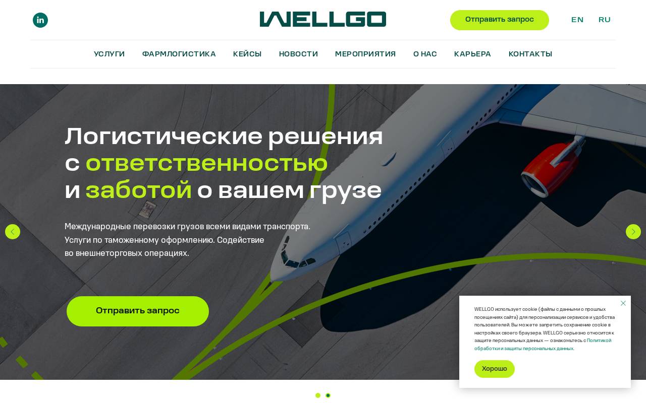 Снимок главной страницы wellgo.ru