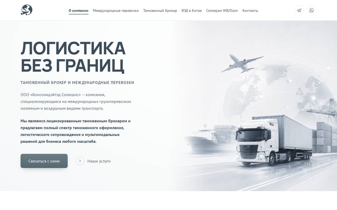Снимок главной страницы co-solutions.net